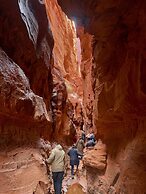 Wadi Rum Hikes & Camp