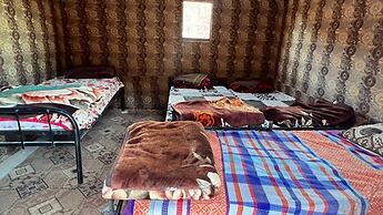 Wadi Rum Hikes & Camp