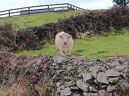 Rose Cottage in Ennistymon - Near Cliffs of Moher