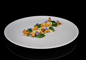 ADLER Spa Resort BALANCE