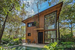 The Grand Forest Jarabacoa