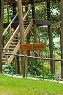 The Grand Forest Jarabacoa