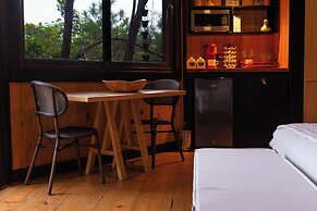 The Grand Forest Jarabacoa