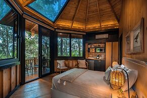 The Grand Forest Jarabacoa