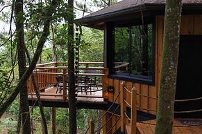 The Grand Forest Jarabacoa