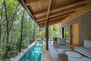 The Grand Forest Jarabacoa