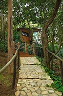 The Grand Forest Jarabacoa