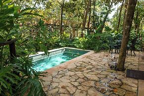 The Grand Forest Jarabacoa