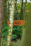 The Grand Forest Jarabacoa