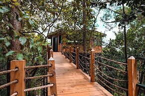 The Grand Forest Jarabacoa