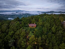 The Grand Forest Jarabacoa