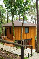 The Grand Forest Jarabacoa