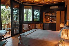 The Grand Forest Jarabacoa