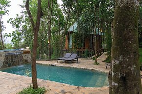 The Grand Forest Jarabacoa