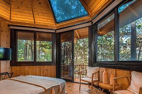 The Grand Forest Jarabacoa