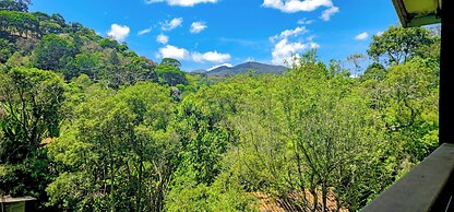 Cores e Flores da Serra