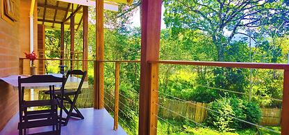 Cores e Flores da Serra