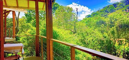 Cores e Flores da Serra