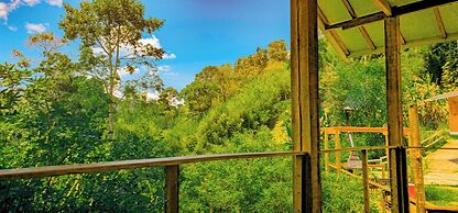 Cores e Flores da Serra