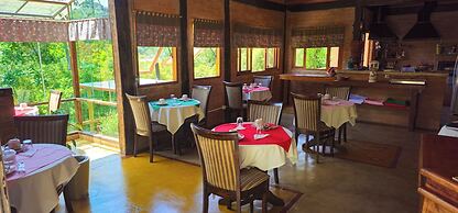 Cores e Flores da Serra