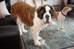 The Stella Historic Llandudno B&B