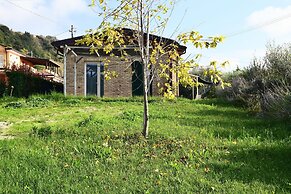 Apartment in a Farmhouse With Swimming Pool