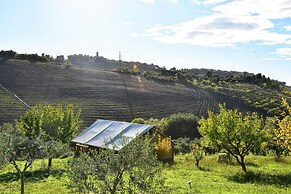 Apartment in a Farmhouse With Swimming Pool