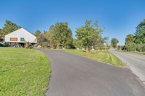 Walk to Creek: Mount Joy Home w/ Peacocks On-site!