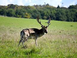 Middelfart Holiday Home- Nearby Waterpark Access