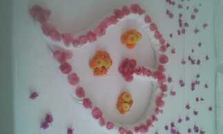 Begonvil Garden Apart