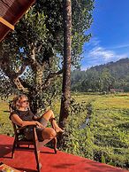 Forest & Fields Sinharaja