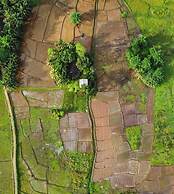 Forest & Fields Sinharaja