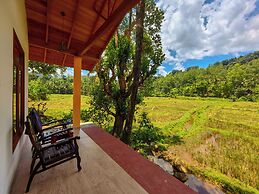 Forest & Fields Sinharaja