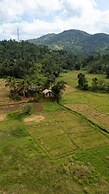 Forest & Fields Sinharaja