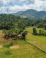 Forest & Fields Sinharaja