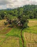 Forest & Fields Sinharaja