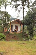 Forest & Fields Sinharaja