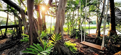 Tiny Island Lake Lodge