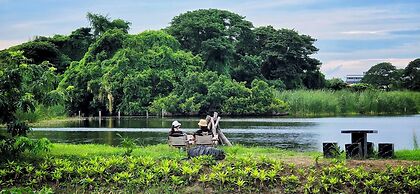 Tiny Island Lake Lodge