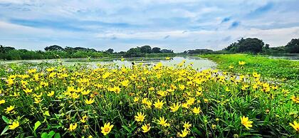 Tiny Island Lake Lodge