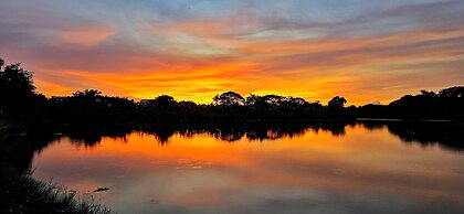 Tiny Island Lake Lodge