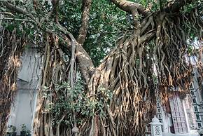 The Experience Resort