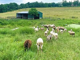Working Goat Farm - Updated Clinton Corners Home!