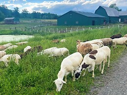 Working Goat Farm - Updated Clinton Corners Home!