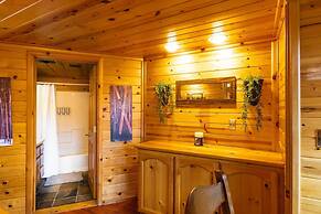 Discover Serenity Cozy Cabin With Mountain Views