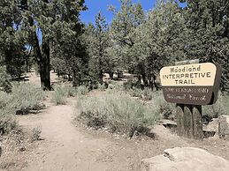 Discover Serenity Cozy Cabin With Mountain Views