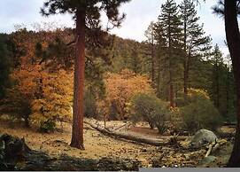 Discover Serenity Cozy Cabin With Mountain Views