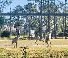 Amazing Vacation Home With Private Pool at Highland Reserve!