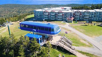 Mountain Lodge