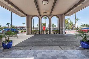 Tempe Oasis